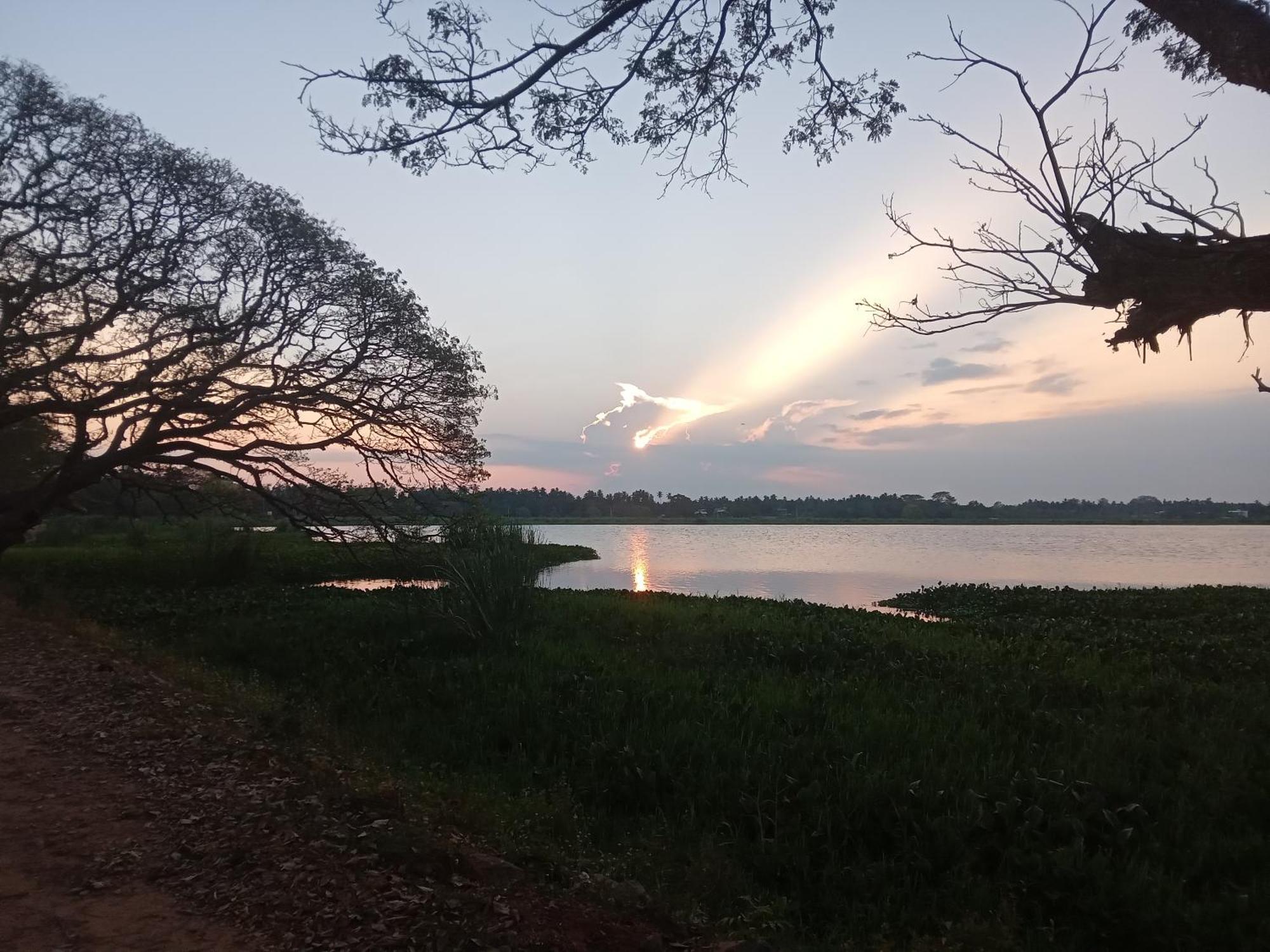 Tissa Rainbow Guest & Yala Otel Tissamaharama Dış mekan fotoğraf