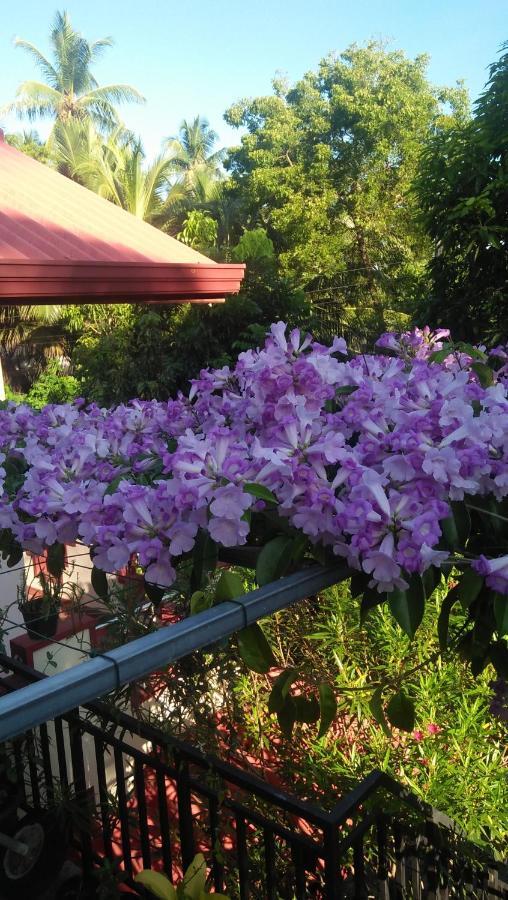 Tissa Rainbow Guest & Yala Otel Tissamaharama Dış mekan fotoğraf